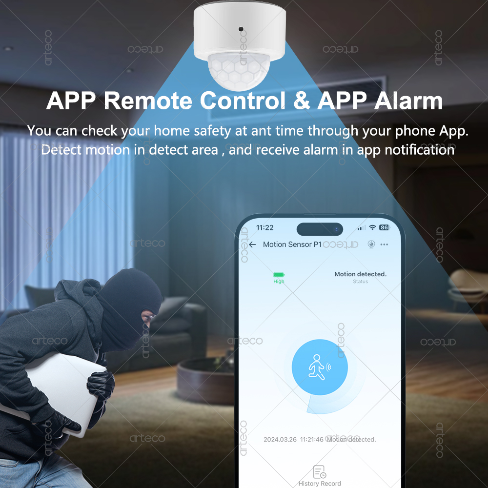 Ewelink Zigbee PIR Motion Sens - Zigbee Motion Sensor บทวิจารณ์และราคา