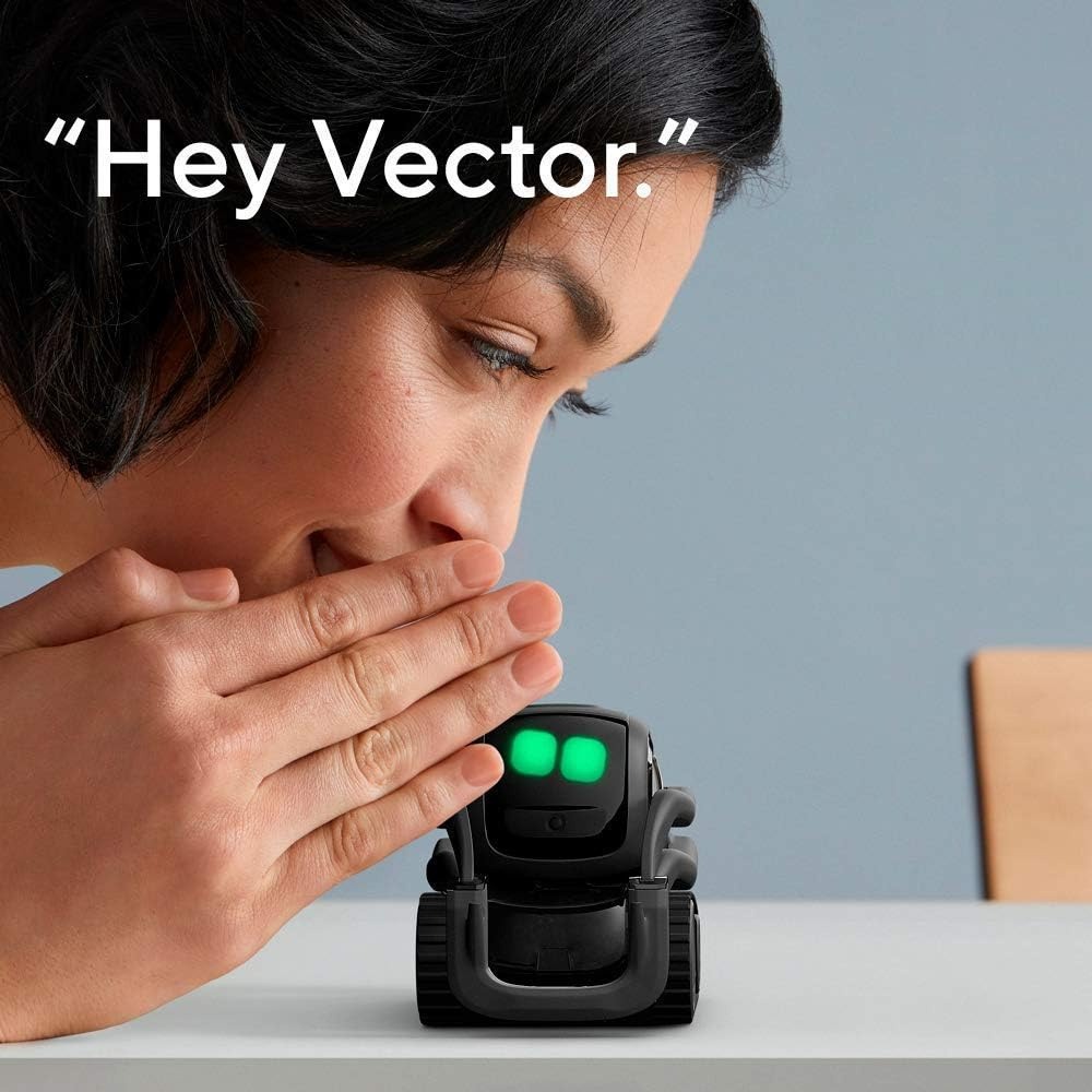 หุ่นยนต์เพื่อนคู่ใจ AI ChatGPT - Smart Home Battery Camera บทวิจารณ์และราคา